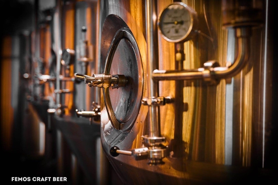 SS304/SS316l Microbrewery παρασκευάζοντας συστήματα παρασκευής μπύρας εξοπλισμού μικρά