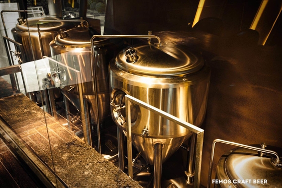 SS304/SS316l Microbrewery παρασκευάζοντας συστήματα παρασκευής μπύρας εξοπλισμού μικρά