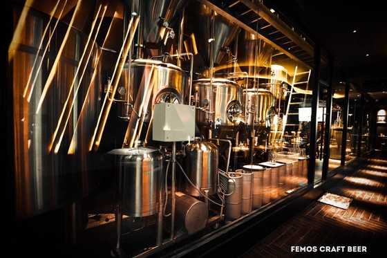 SS304/SS316l Microbrewery παρασκευάζοντας συστήματα παρασκευής μπύρας εξοπλισμού μικρά