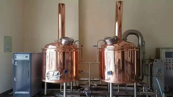 500L 2 με το κλειδί στο χέρι συστήματα Microbrewery εξοπλισμού παρασκευής μπύρας τεχνών σκαφών