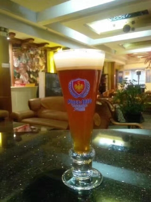 500L 2 με το κλειδί στο χέρι συστήματα Microbrewery εξοπλισμού παρασκευής μπύρας τεχνών σκαφών
