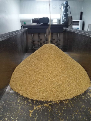 Malting γραμμή παραγωγής συσκευασίας με τη βύθιση της δεξαμενής, που βλασταίνει φουρνίζοντας το κιβώτιο