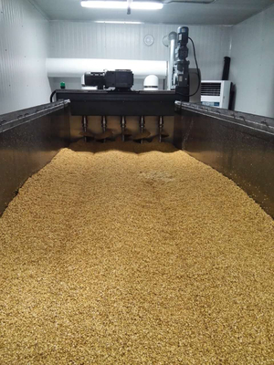 Malting γραμμή παραγωγής συσκευασίας με τη βύθιση της δεξαμενής, που βλασταίνει φουρνίζοντας το κιβώτιο